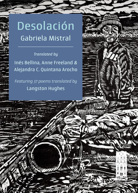 Book cover image for Desolación ISBN: 9798987926437